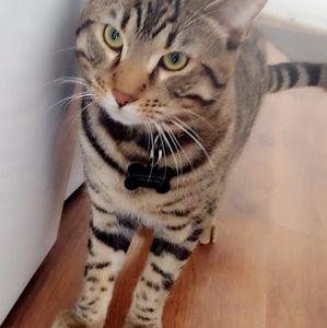 Meet your Posher, Roxanne